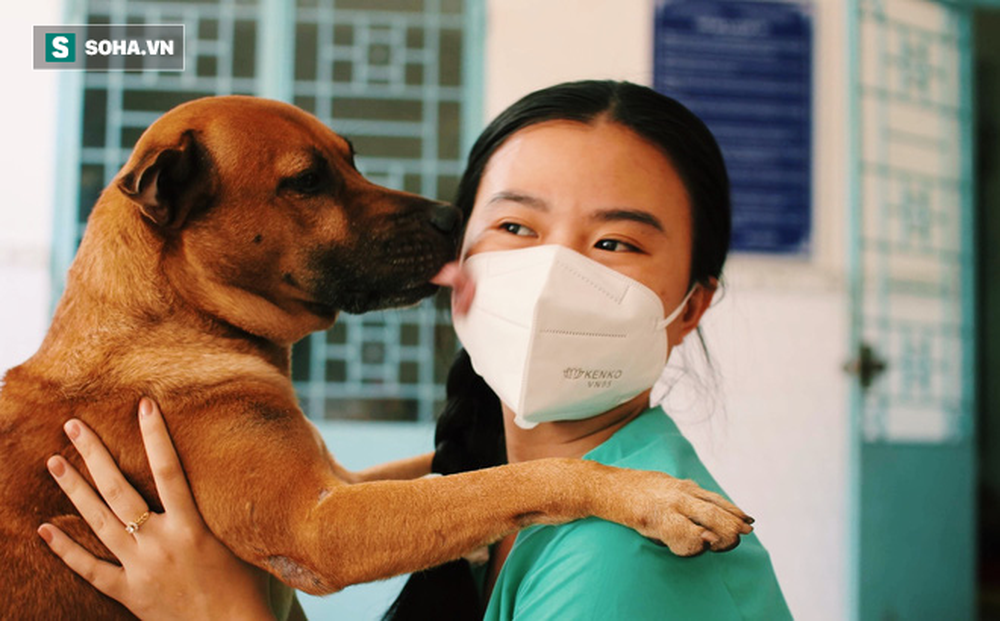 Chủ mất vì Covid-19, chú chó được tình nguyện viên nuôi dưỡng rồi cũng qua đời: ‘Nó không đợi được ngày để tang chủ’