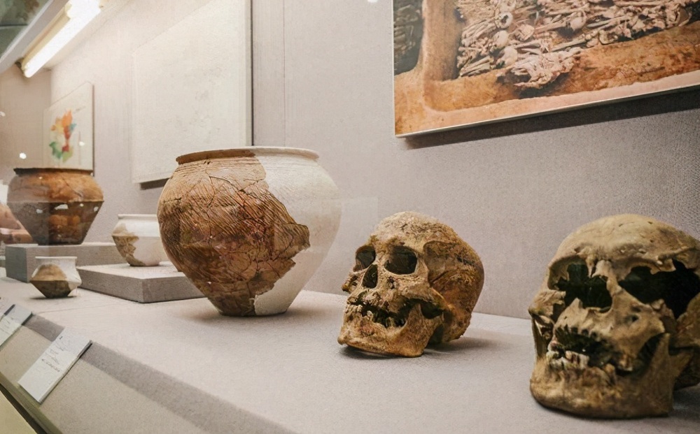 Hộp sọ “trắng đen” khai quật từ mộ cổ 3.000 năm, chuyên gia nghi ngờ: Phương Tây có thể là cội nguồn của nền văn minh Trung Quốc