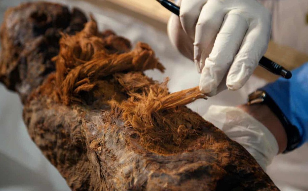 Phát hiện chấn động lịch sử trong xác ướp 4.000 năm tuổi: Sử sách buộc phải viết lại! - Ảnh 1.