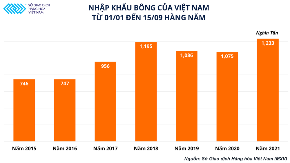 Giá bông lên cao nhất một thập kỉ, những bộ quần áo khoác lên người ngày càng đắt đỏ - Ảnh 3.