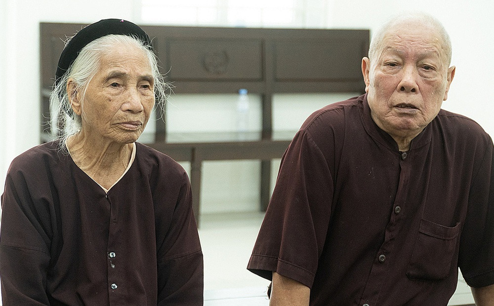 Hà Nội: Dừng điều tra vụ án con dâu 