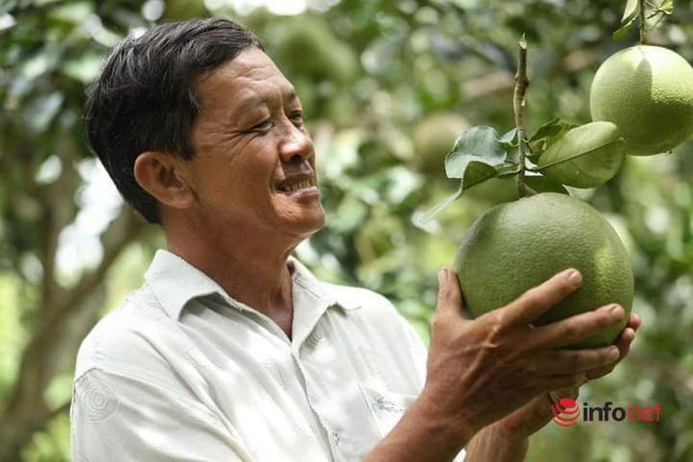 Đưa đặc sản lạ của Việt Nam sang trời Tây, lợi thế lớn của hàng trăm nông dân tham gia HTX - Ảnh 3.