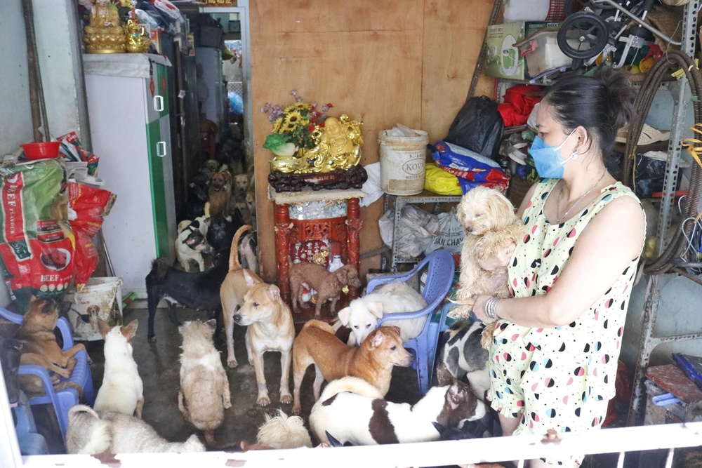 Bà cô Sài Gòn nuôi 100 con chó trong nhà, hàng xóm phát điên, CDM tranh cãi - Ảnh 1.