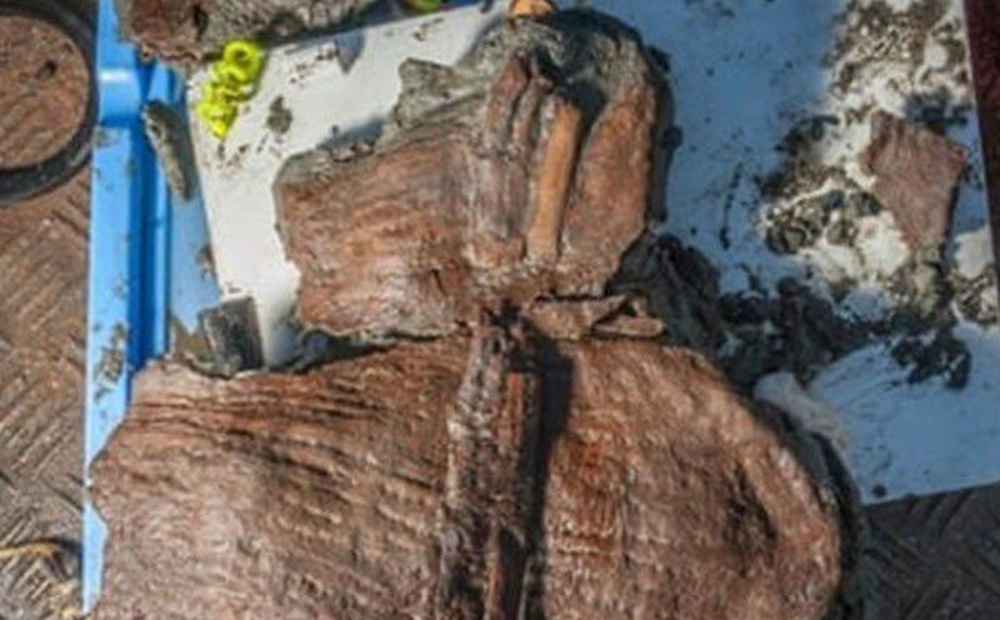 Chiếc giỏ nằm dưới đáy biển hơn 2.000 năm vẫn chứa đầy quả