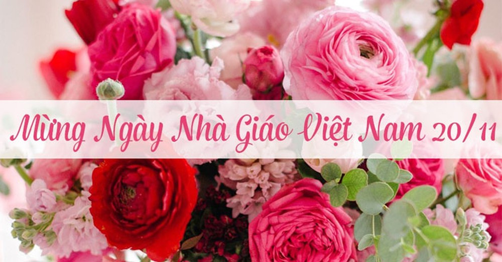 Lời chúc ngày nhà giáo Việt Nam 20/11 hay và ý nghĩa nhất - Ảnh 4.