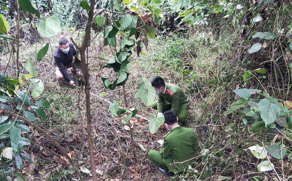 Vụ sát hại người phụ nữ buôn gà giấu xác phi tang: Lời khai 