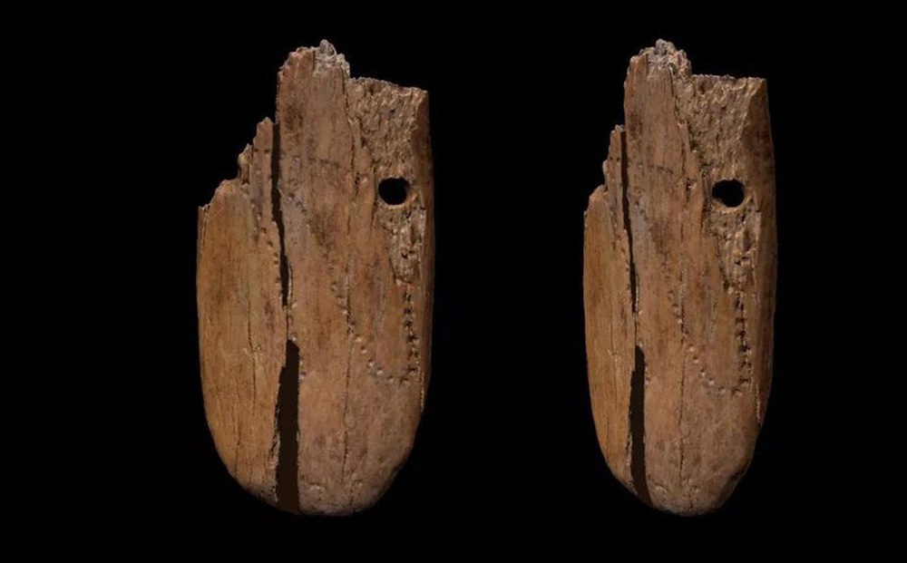 Tìm thấy mặt dây chuyền ngà voi 41.500 năm tuổi, đồ trang sức lâu đời nhất của con người