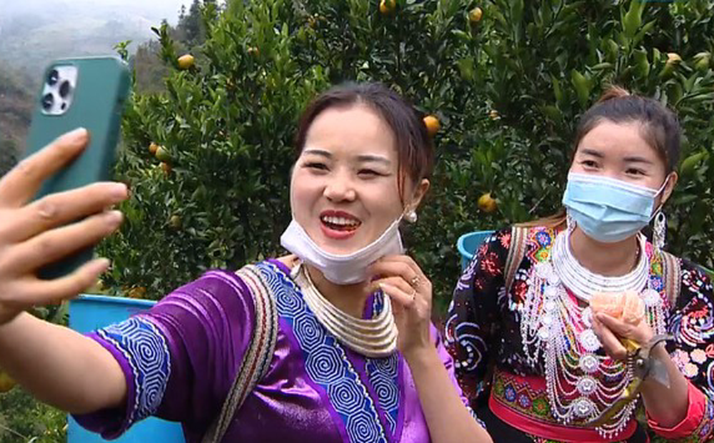Bà con dân tộc tỉnh Lào Cai bán 5 - 8 tạ quýt trong buổi livestream