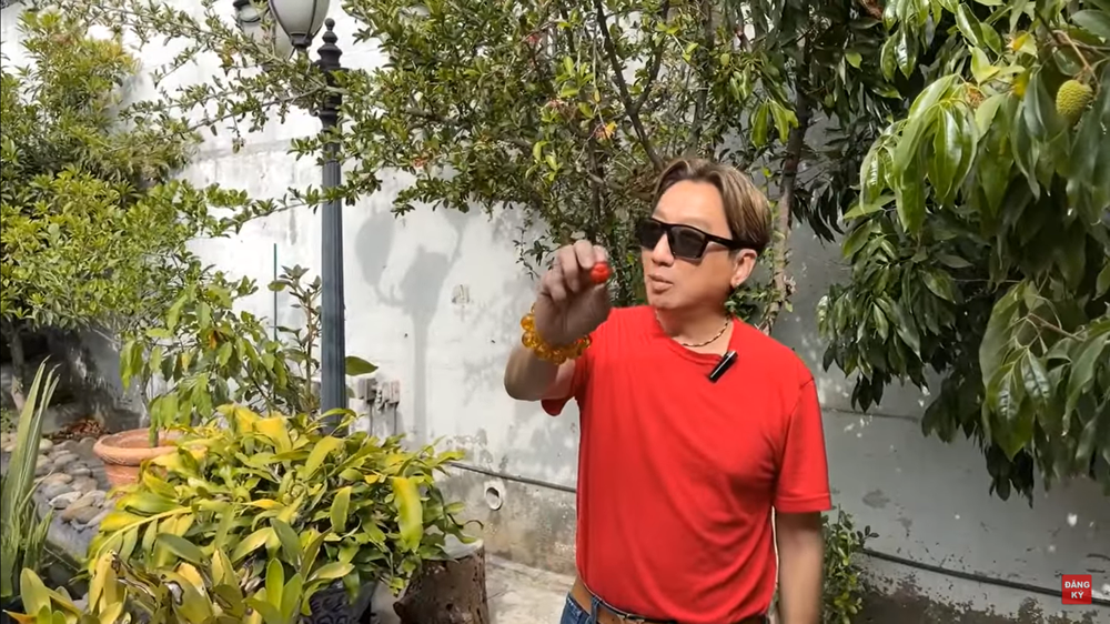 Trường Vũ: Có show thì tôi đi hát, không thì tưới cây, nấu cơm cho con, sống vẫn vui vẻ - Ảnh 5. Trường Vũ: Có show thì tôi đi hát, không thì tưới cây, nấu cơm cho con, sống vẫn vui vẻ - Ảnh 5.