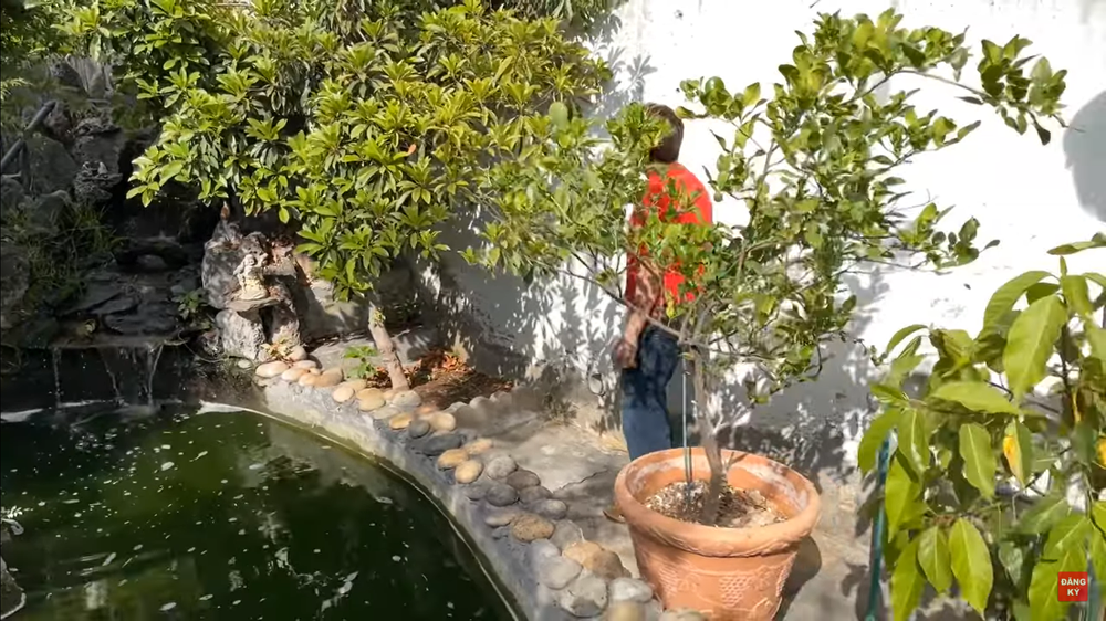 Trường Vũ: Có show thì tôi đi hát, không thì tưới cây, nấu cơm cho con, sống vẫn vui vẻ - Ảnh 3. Trường Vũ: Có show thì tôi đi hát, không thì tưới cây, nấu cơm cho con, sống vẫn vui vẻ - Ảnh 3.