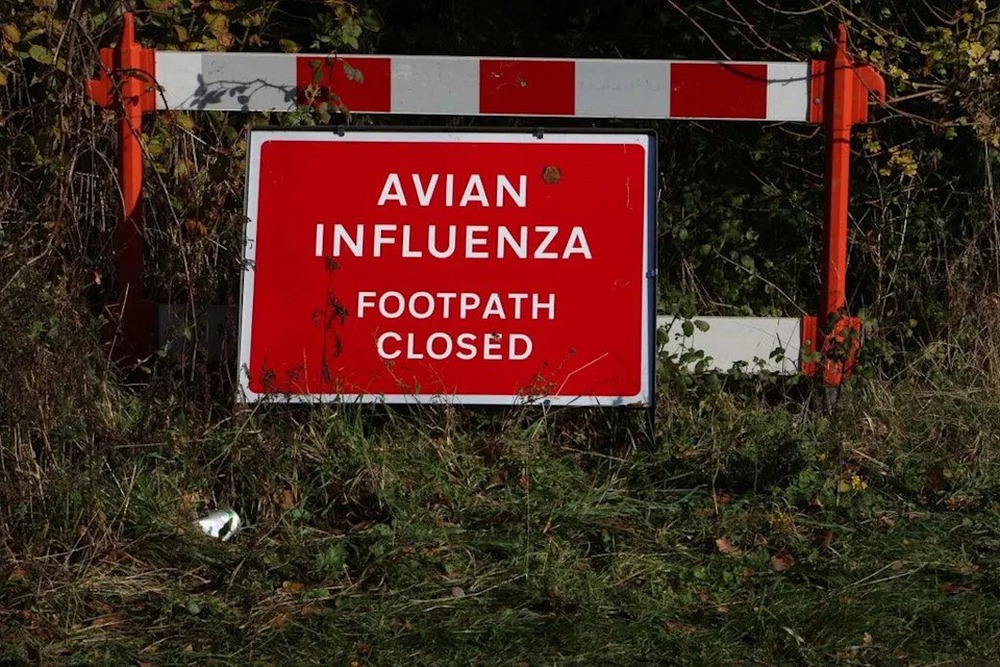 Chuyên gia Nga cảnh báo đại dịch nguy hiểm hơn Covid, tỷ lệ tử vong 53%, chưa có vaccine
