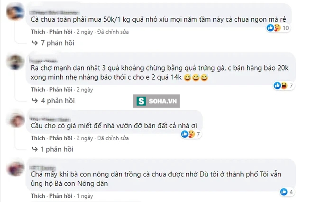 Chuyện chưa từng có: Giá cà chua đắt ngang thịt lợn, người Hà Nội chỉ dám ăn cho biết vị - Ảnh 1.