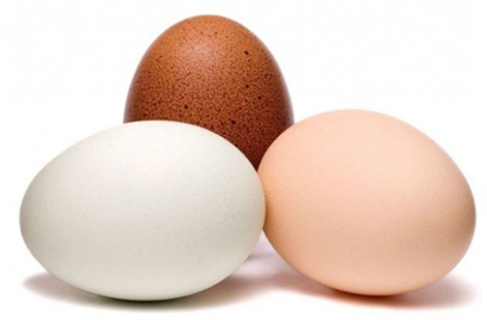4 điểm giúp phân biệt trứng gà ta và trứng gà Trung Quốc giá rẻ - Ảnh 1.