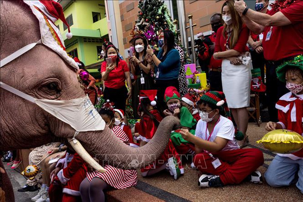 Độc đáo hình ảnh voi phát quà Giáng sinh tại Thái Lan - Ảnh 2.