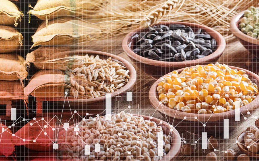 Trung Quốc tích trữ hơn 1/2 lượng ngũ cốc của thế giới, nguy cơ đẩy giá toàn cầu