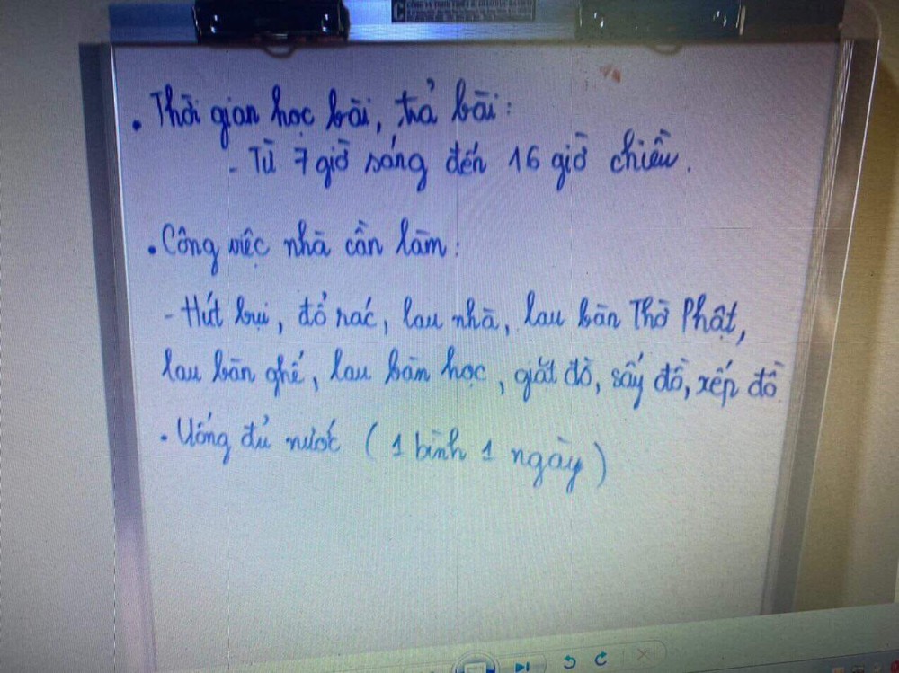 Phẫn nộ với thời gian biểu được cho là của bé gái 8 tuổi tử vong, nghi do dì ghẻ bạo hành - Ảnh 1.