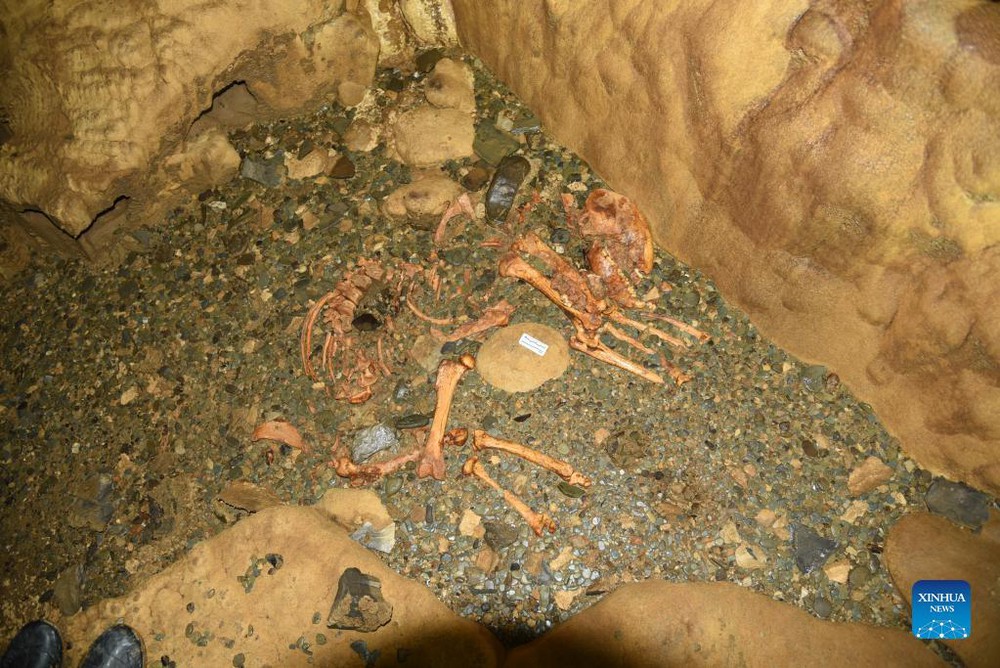 Thám hiểm hang động dài nhất châu Á, chuyên gia kinh ngạc phát hiện thứ hiếm có bên trong - Ảnh 1.