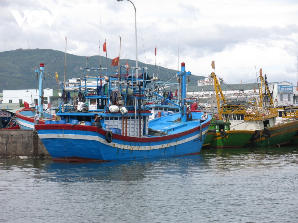 1 ngư dân tỉnh Bình Định mất tích trên biển - Ảnh 1.
