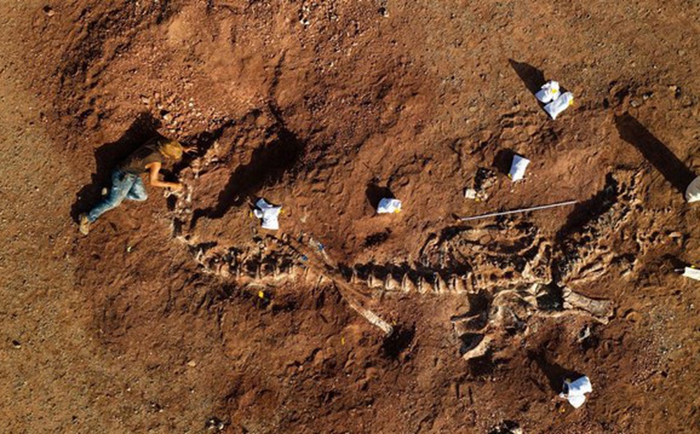 [ẢNH] Kho tàng xương khủng long mắc kẹt ở sa mạc Sahara vì dịch Covid-19