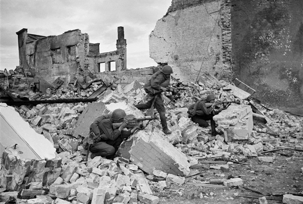 Đội quân chuột làm nên chiến thắng Đức Quốc xã trong Trận Stalingrad - Ảnh 4.