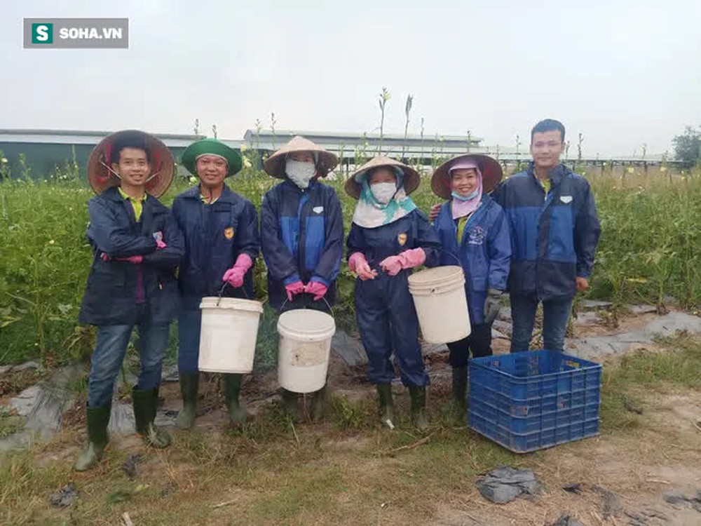 Vua Mít trong tâm dịch: 200 công nhân ở lại nông trại xuyên Tết, giám đốc xuống vườn trồng trọt - Ảnh 3.