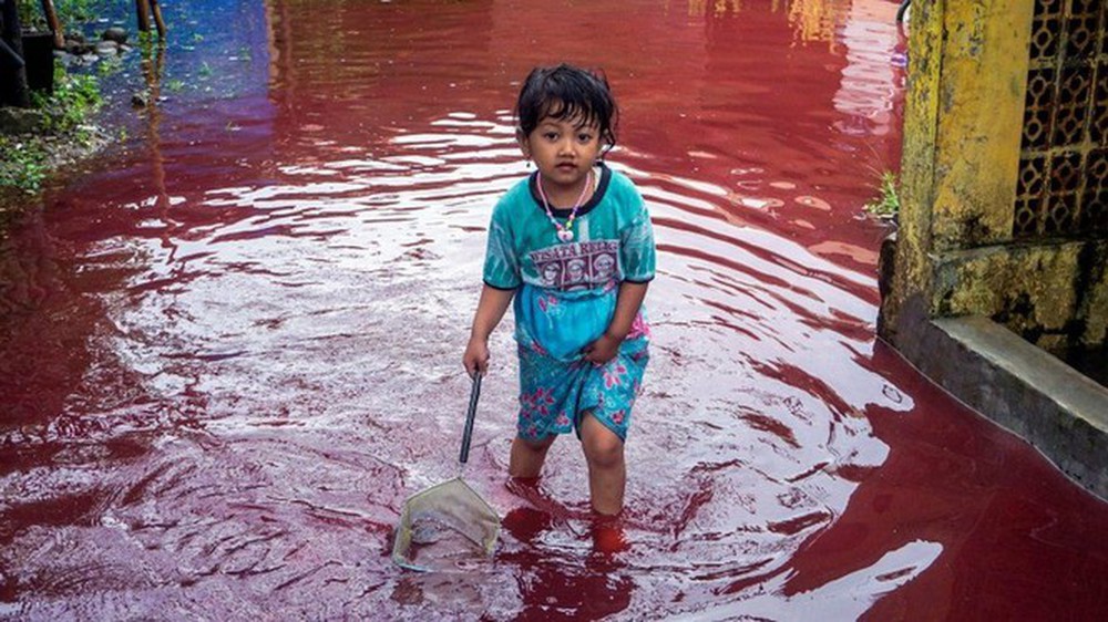 Indonesia: Dòng lũ máu nhấn chìm một ngôi làng - Ảnh 2.