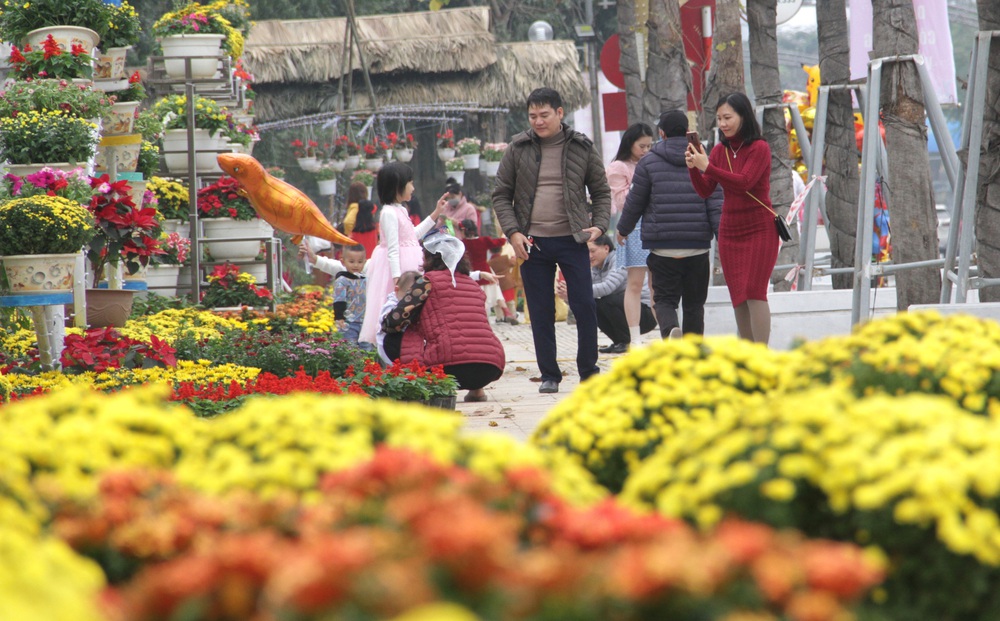 Nghệ An: Nhiều tuyến đường "biến" thành thảm hoa tươi, người dân đổ xô đến chụp ảnh trước Tết