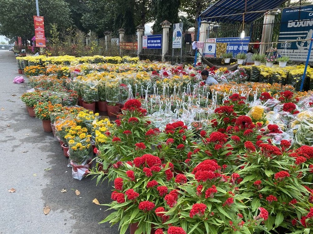 28 Tết, người bán hoa Tết ở TP HCM muốn khóc sau trận mưa bất ngờ