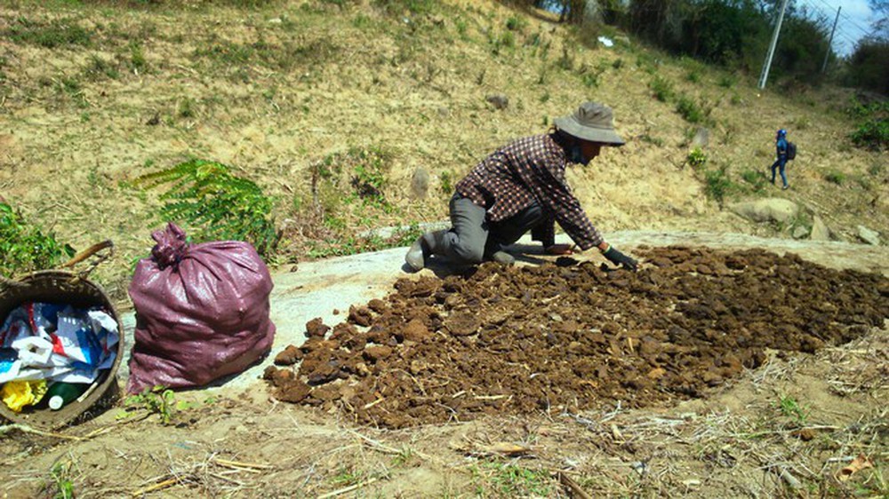 Người dân vùng sâu Đắk Lắk tăng thu nhập từ nghề... nhặt phân bò - Ảnh 2.