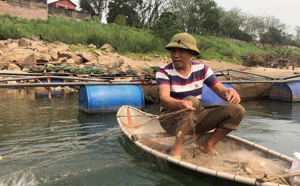 Phú Thọ: Cao thủ săn loài "sát thủ" cá râu dài da trơn tuột, ngạnh sắc nhọn trên Đà giang
