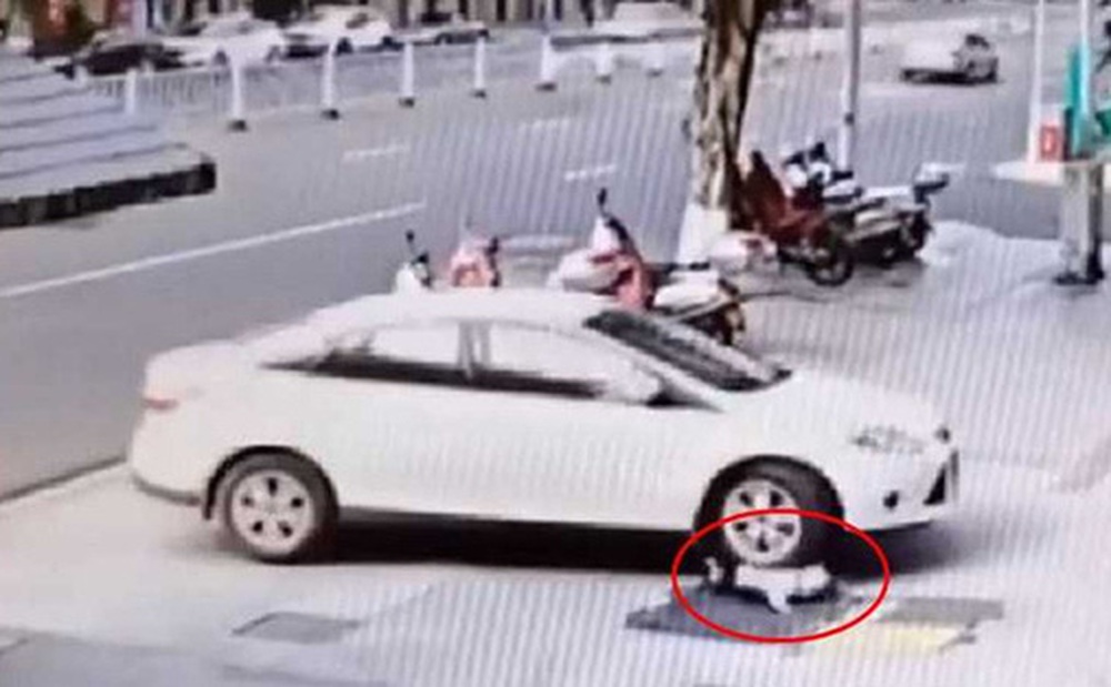 Mẹ kiên quyết bỏ đi khi con trai 2 tuổi nhõng nhẽo đòi ôm, vài giây sau quay lại thì hốt hoảng với cảnh tượng trước mắt