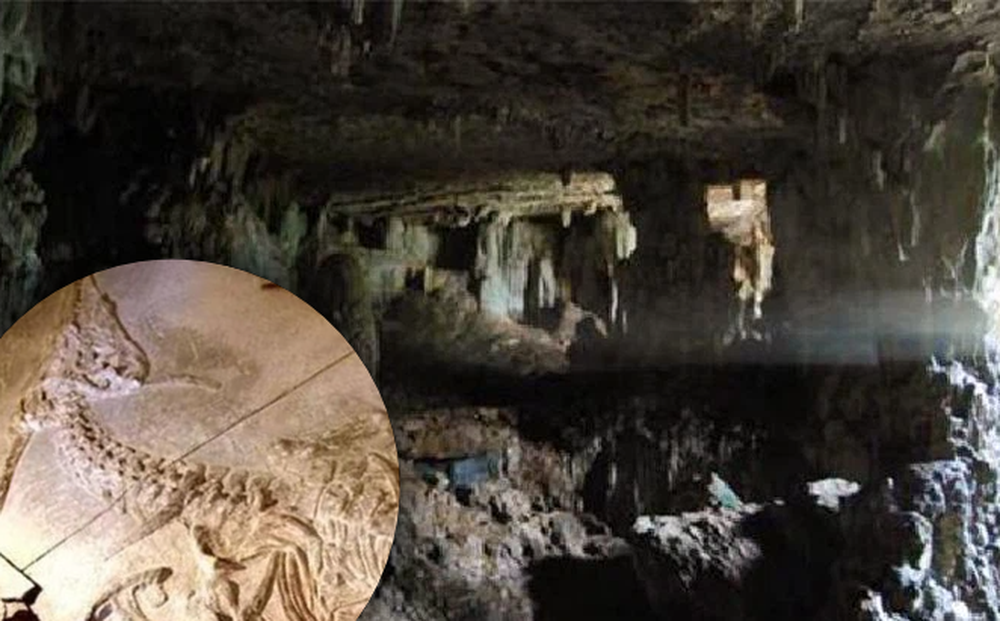 Lạc vào hang động bí ẩn trên núi, người nông dân bất ngờ tìm ra 'hóa thạch rồng' dài hơn 7m: Chân tướng ra sao?