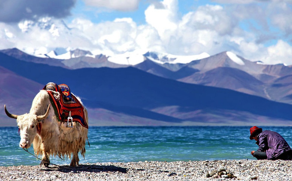 Người nước ngoài tới Tây Tạng du lịch nườm nượp nhưng ít ai dám ở lại quá lâu, vì sao?