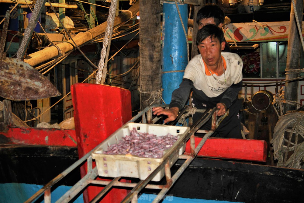 Ngư dân Nghệ An thu hàng trăm triệu mỗi chuyến từ mực luộc tươi trên tàu - Ảnh 2.