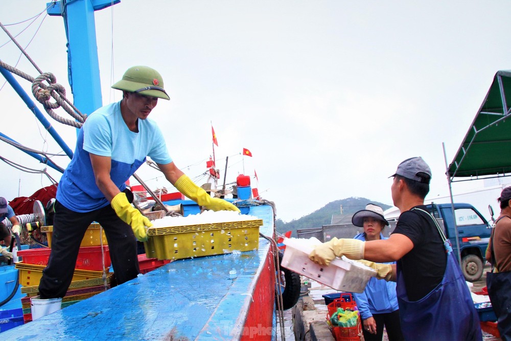 Ngư dân Nghệ An thu hàng trăm triệu mỗi chuyến từ mực luộc tươi trên tàu - Ảnh 9.