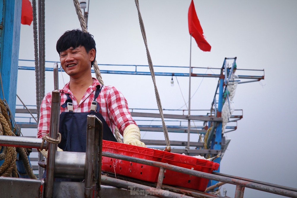 Ngư dân Nghệ An thu hàng trăm triệu mỗi chuyến từ mực luộc tươi trên tàu - Ảnh 10.