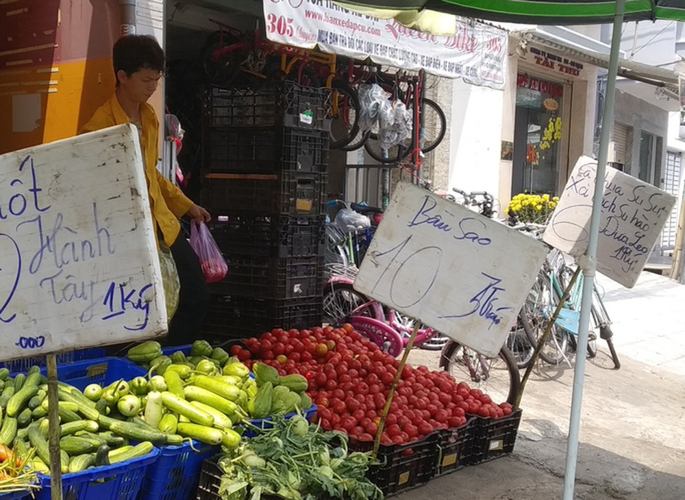 Ngỡ ngàng với loại cà chua Lâm Đồng giá nửa triệu đồng/kg - Ảnh 1.