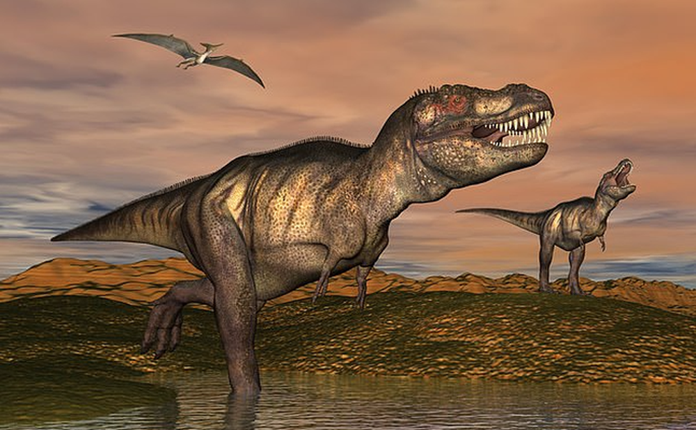 Phát hiện mộ tập thể của khủng long - sói khủng khiếp nhất mọi thời đại - Ảnh 3.