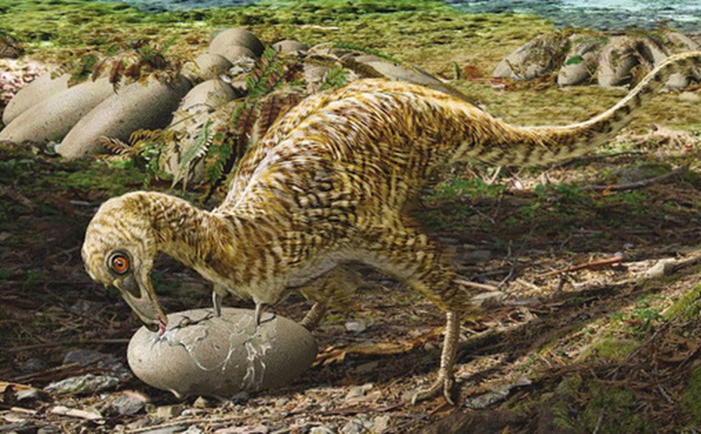 Phát hiện loài động vật hai ngón chuyên ăn cắp trứng khủng long