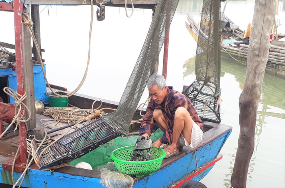 Chi 43 tỉ đồng nâng cấp chưa lâu, cảng cá ở Thanh Hóa đã trùm mền - Ảnh 10.