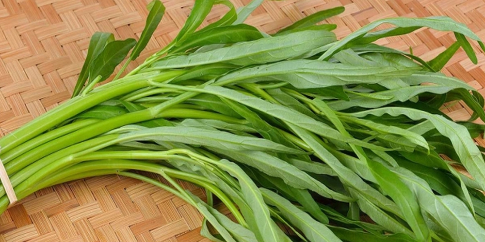 Lời đồn về rau muống hút thuốc trừ sâu và nhiễm kim loại nặng: Ăn lâu dài có gây bệnh không? - Ảnh 4.
