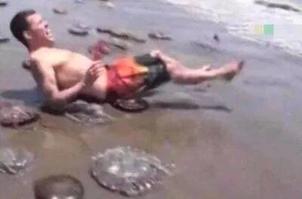 Thấy sinh vật lạ dạt vào bờ, chàng trai tò mò cầm lên chụp ảnh rồi lập tức ngã vật ra đất - Ảnh 3.