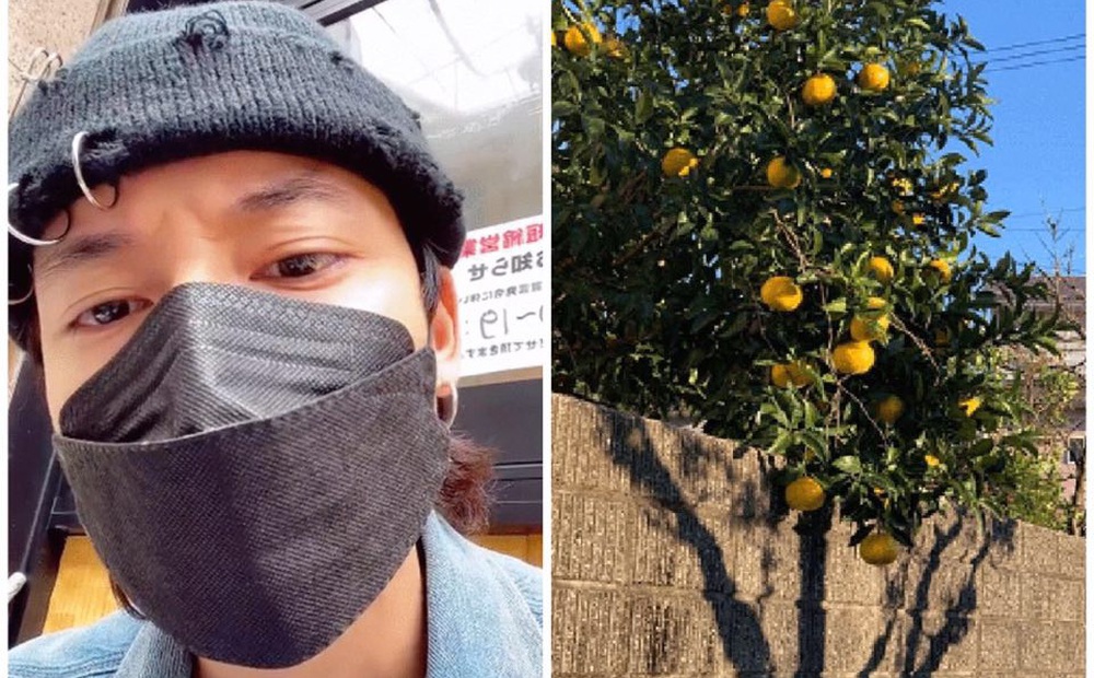 Chê một số bạn trẻ Việt "tham lam và ngu dốt" vì tự ý hái trái cây của người Nhật, TikToker 1 triệu follows khiến dân mạng tranh cãi nảy lửa