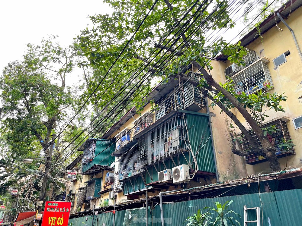 Kỳ lạ cây mọc xuyên thủng nhiều căn nhà trong khu tập thể 60 tuổi ở Hà Nội - Ảnh 10.