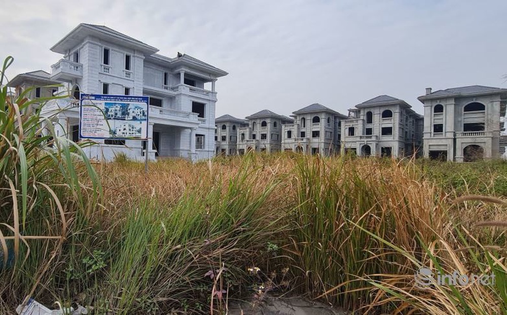 Điểm mặt những khu biệt thự trăm tỷ bỏ hoang ở Hà Nội, có bị đánh thuế?