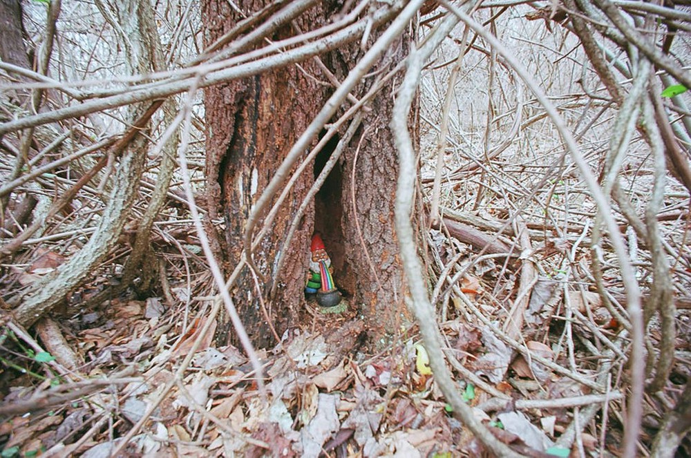 Những thứ kì lạ được dân tình phát hiện trong rừng: Số 5 gây ám ảnh (P2) - Ảnh 1.