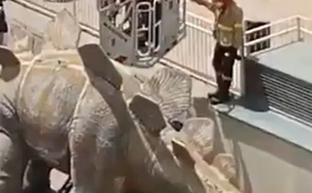 Tượng khủng long khổng lồ bất ngờ bốc mùi hôi thối khủng khiếp, cảnh sát ngó qua vết nứt phát hiện cảnh rùng rợn hy hữu