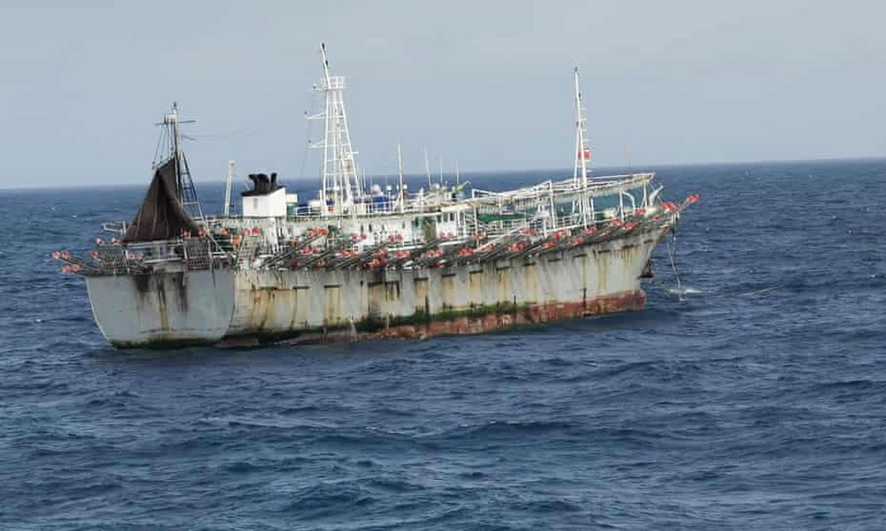 Chiến thuật khai thác tận diệt của tàu cá Trung Quốc hủy hoại Thái Bình Dương như thế nào? - Ảnh 2.
