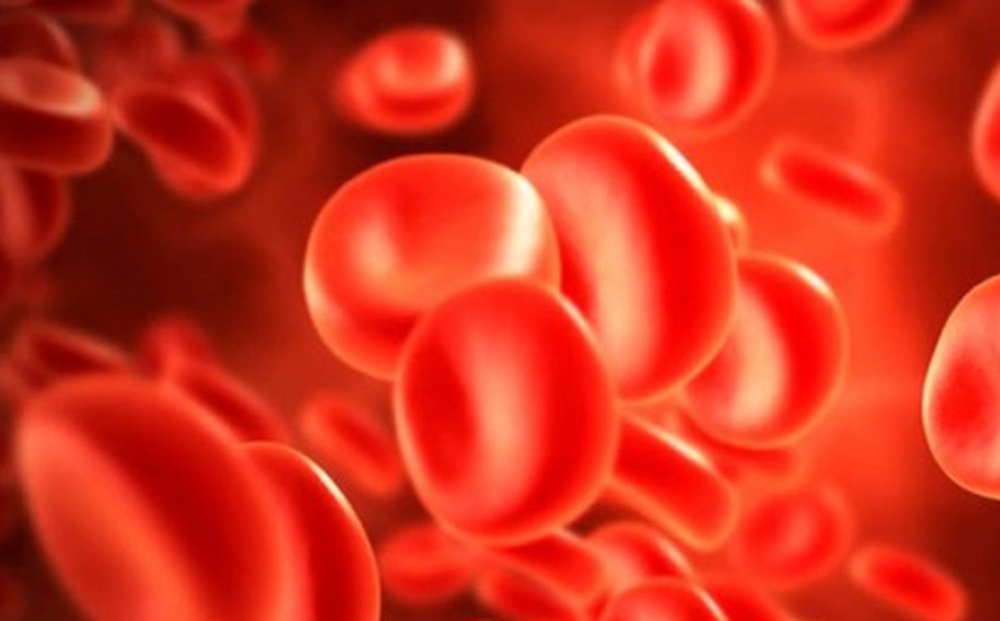 8 lý do bạn nên biết nhóm máu của mình