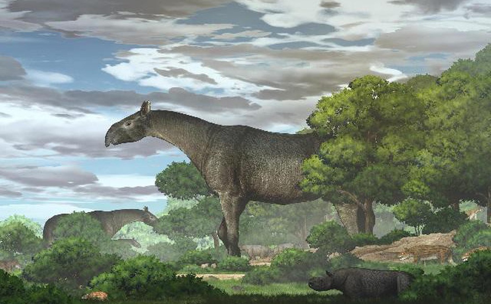 Phát hiện hóa thạch của tê giác siêu khổng lồ, lớn hơn cả voi ma mút ở Trung Quốc